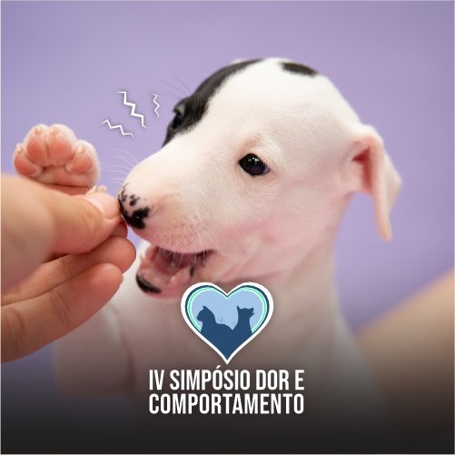 4 Simpósio Dor e Comportamento