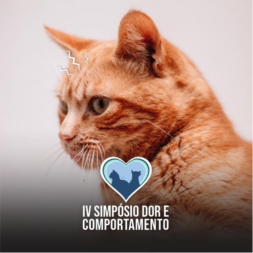 4 Simpósio Dor e Comportamento